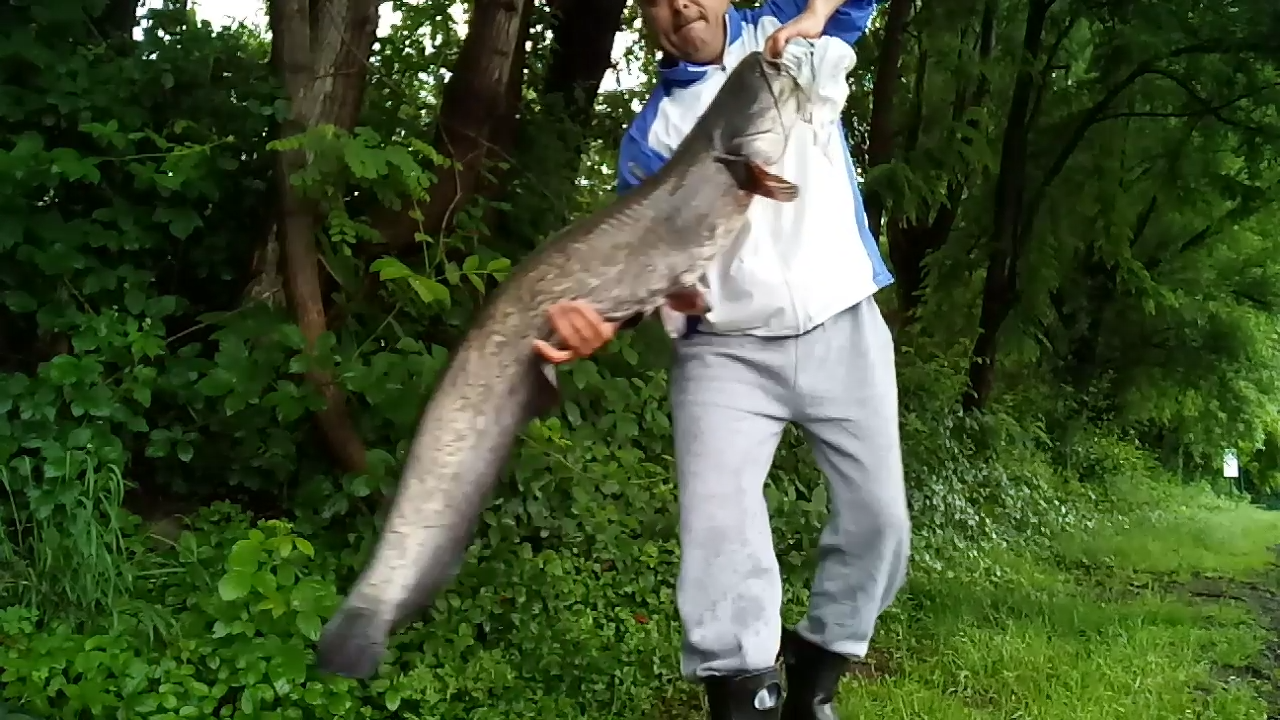 ISOLA DEL PESCATORE 28 - 29 mai 2018 - screenshot2018-05-29-09-21-58.png